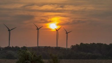 blue-canyon-wind-farm