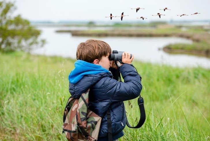 enfant-regarde-les-oiseaux-a-travers-l'objectif