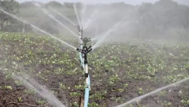 irrigation-agriculture-sprinkling