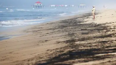 126 000 gallons de pétrole déversés le long de la côte californienne dans une « catastrophe écologique potentielle » Par Harry Baker publié le 4 octobre 21 Un déversement de pétrole au large de la côte californienne a libéré environ 126 000 gallons de pétrole qui s'échouent sur les plages et les zones humides protégées.
