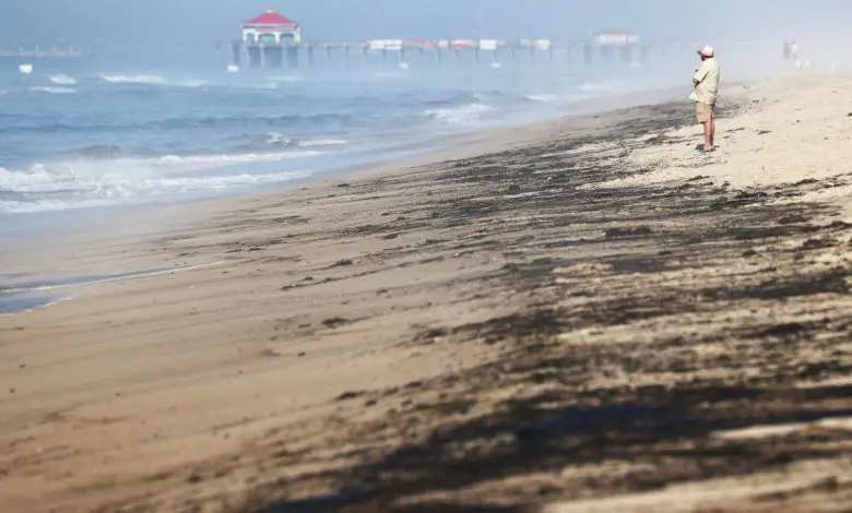 126 000 gallons de pétrole déversés le long de la côte californienne dans une « catastrophe écologique potentielle » Par Harry Baker publié le 4 octobre 21 Un déversement de pétrole au large de la côte californienne a libéré environ 126 000 gallons de pétrole qui s'échouent sur les plages et les zones humides protégées.