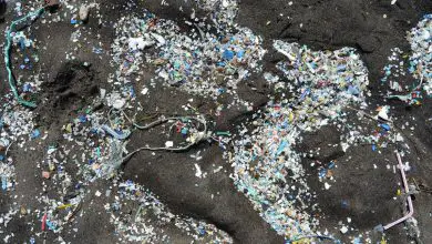 15 millions de tonnes de microplastiques polluent les fonds marins Par Mindy Weisberger publié le 9 octobre 20 Un nouveau rapport révèle que les débris de microplastiques sont deux fois plus abondants dans les profondeurs océaniques qu'à la surface de la mer.