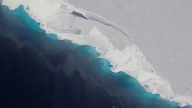 Les scientifiques se précipitent pour comprendre pourquoi ce glacier géant en Antarctique fond si vite Par Tom Metcalfe publié le 13 janvier 20 Un sous-marin robotique est sur le point de descendre dans une caverne sombre et remplie d'eau en Antarctique, pour essayer de découvrir pourquoi l'un des les plus grands glaciers du continent fondent si vite.