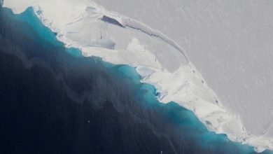 Les scientifiques se précipitent pour comprendre pourquoi ce glacier géant en Antarctique fond si vite Par Tom Metcalfe publié le 13 janvier 20 Un sous-marin robotique est sur le point de descendre dans une caverne sombre et remplie d'eau en Antarctique, pour essayer de découvrir pourquoi l'un des les plus grands glaciers du continent fondent si vite.