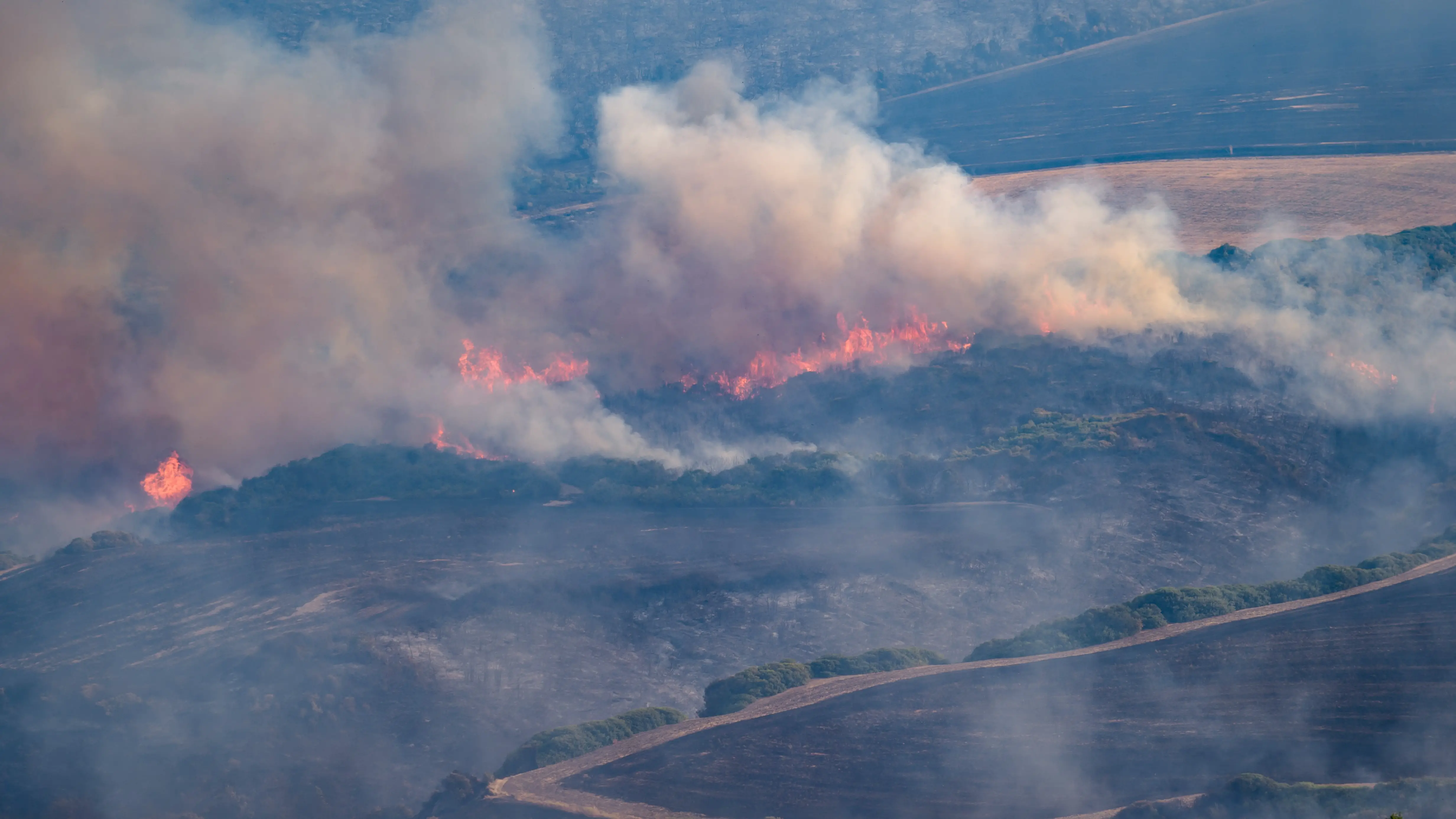 La forêt italienne de Difesa Grande brûle dans les Pouilles, dans le sud de l'Italie.