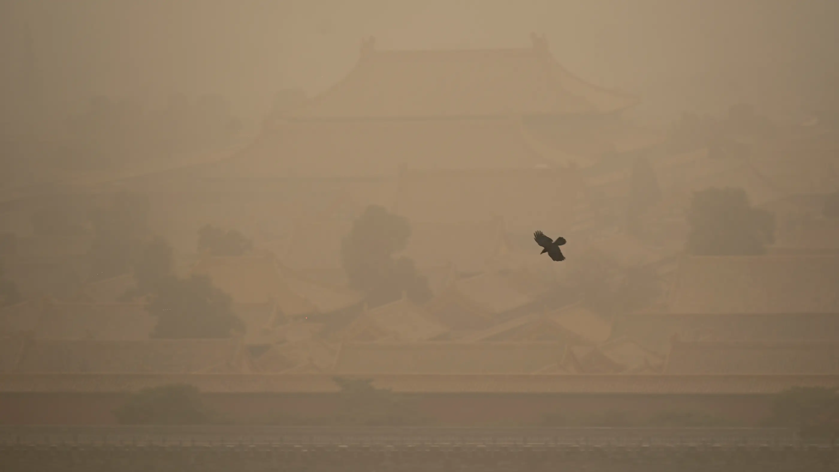 Un corbeau vole à travers l'épaisse poussière au-dessus du Palais de la Cité Interdite.