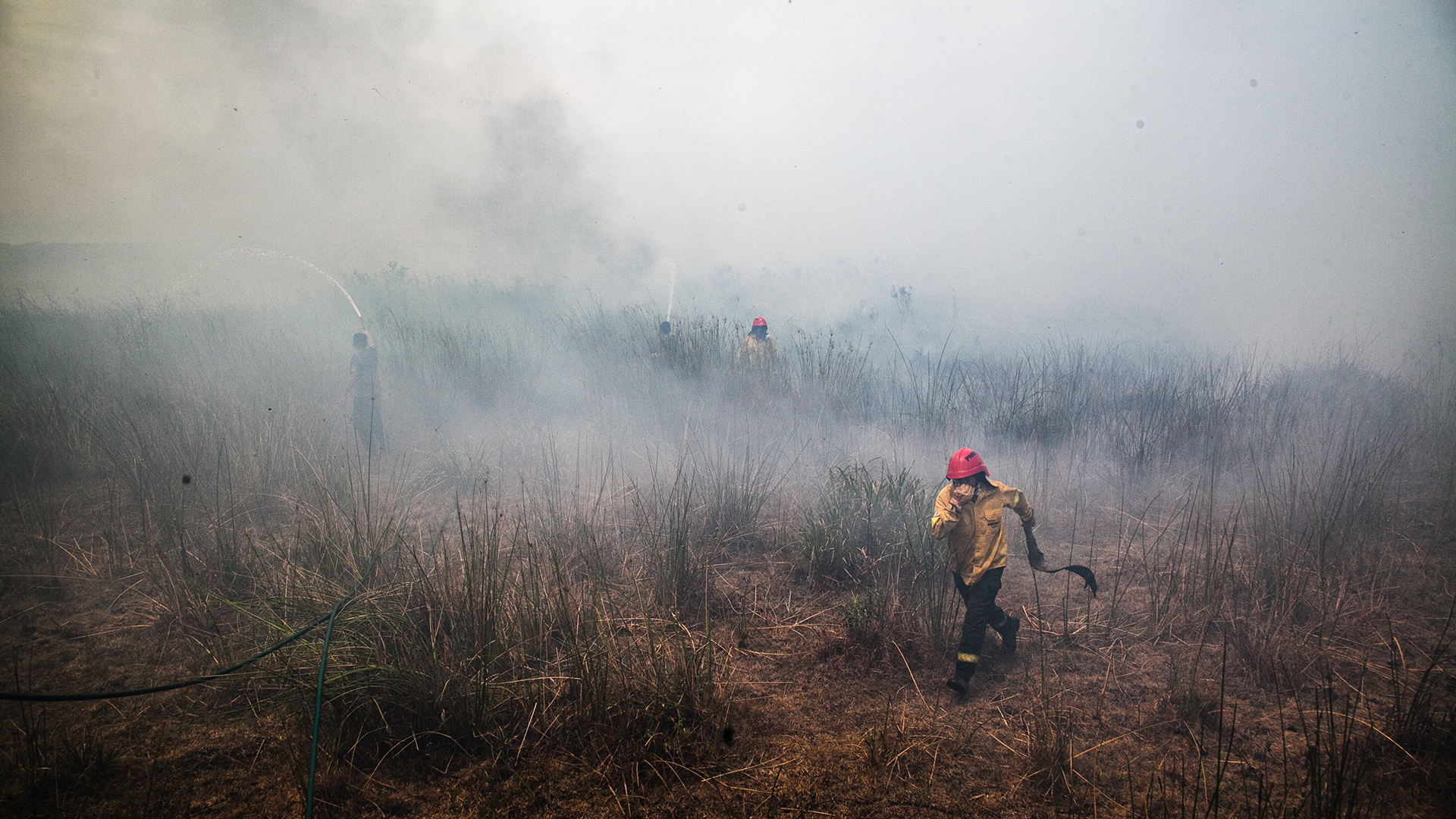 En février, des incendies de forêt alimentés par une grave sécheresse ont détruit des forêts, des prairies et des zones humides dans le nord-est de l'Argentine, brûlant environ 40 % du parc national d'Ibera.