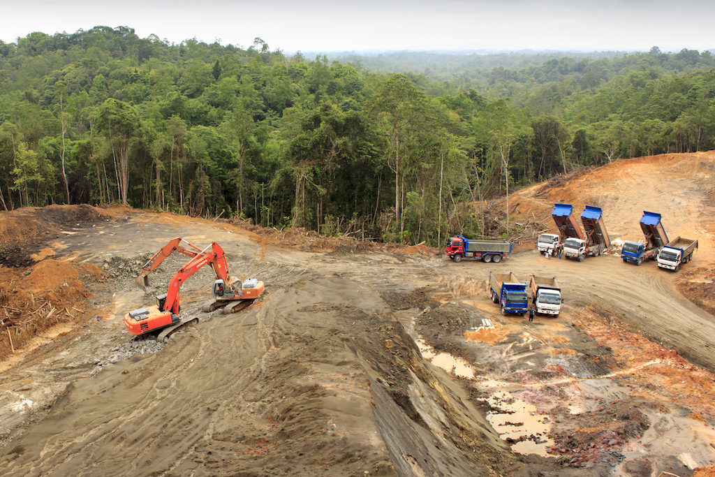 Camions enlevant des arbres d'une forêt tropicale.