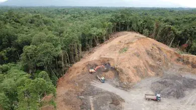 Déforestation : Faits, causes et effets Par Sarah Derouin publié le 6 janvier 22 La déforestation peut inclure le défrichement des terres pour l'agriculture ou l'élevage, ou l'utilisation du bois pour le carburant, la construction ou la fabrication.