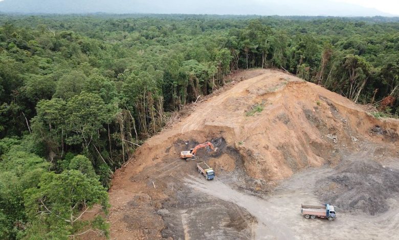 Déforestation : Faits, causes et effets Par Sarah Derouin publié le 6 janvier 22 La déforestation peut inclure le défrichement des terres pour l'agriculture ou l'élevage, ou l'utilisation du bois pour le carburant, la construction ou la fabrication.