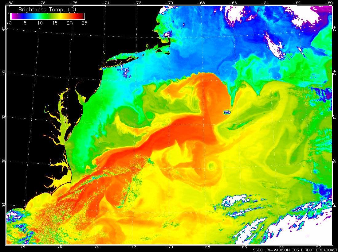 Le courant du Gulf Stream (rouge) accélère l'eau chaude le long de la côte est des États-Unis, où elle se heurte à l'eau froide de l'Atlantique Nord.