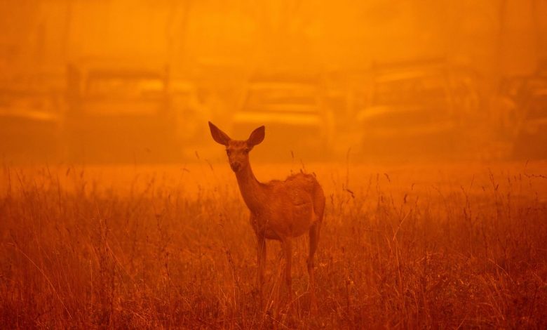 8 ominous climate milestones reached in 2021ByMindy Weisberger published 29 December 21Signs of accelerating global warming abounded this year, but we could still prevent the worst-case scenarios — if we act soon.