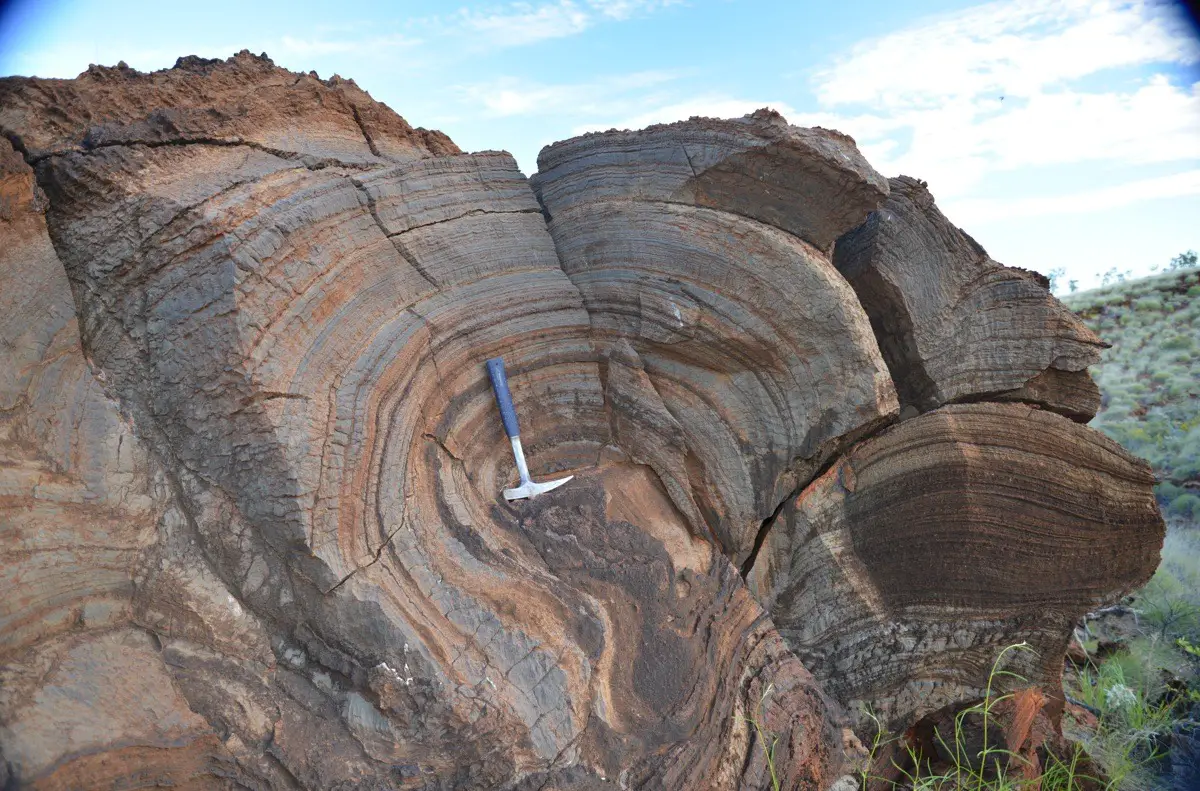 Malgré une atmosphère peut-être mince sur la Terre primitive, les chercheurs ont trouvé des preuves d'une vie photosynthétique unicellulaire sur la rive d'un grand lac, comme on le voit dans ce stromatolite de 2,7 milliards d'années d'Australie occidentale.