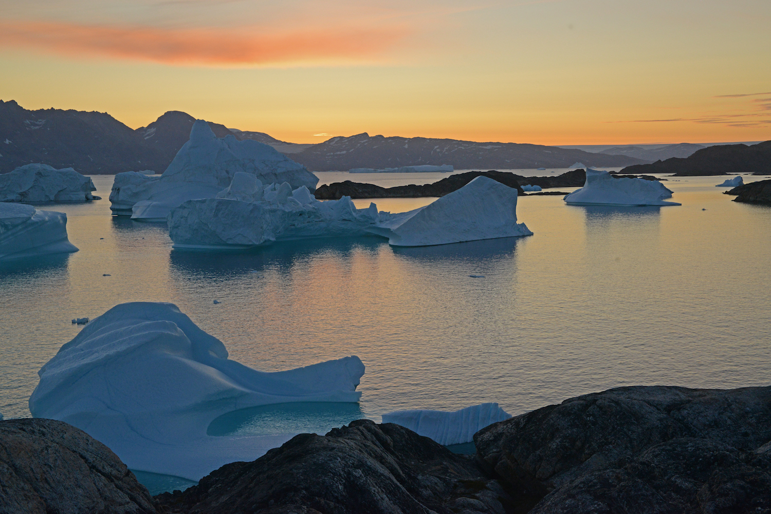 Les icebergs du côté est de la calotte glaciaire du Groenland (au loin) reposent dans une crique protégée le long du bord sud-ouest de l'île Amitsoq, au sud-est du Groenland.