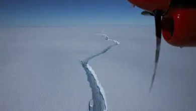 Une fissure géante libère un iceberg massif en Antarctique Par Yasemin Saplakoglu publié le 26 février 21 Cette rupture dramatique survient après qu'une fissure majeure s'est formée sur le plateau en novembre 2020 et a continué de croître.