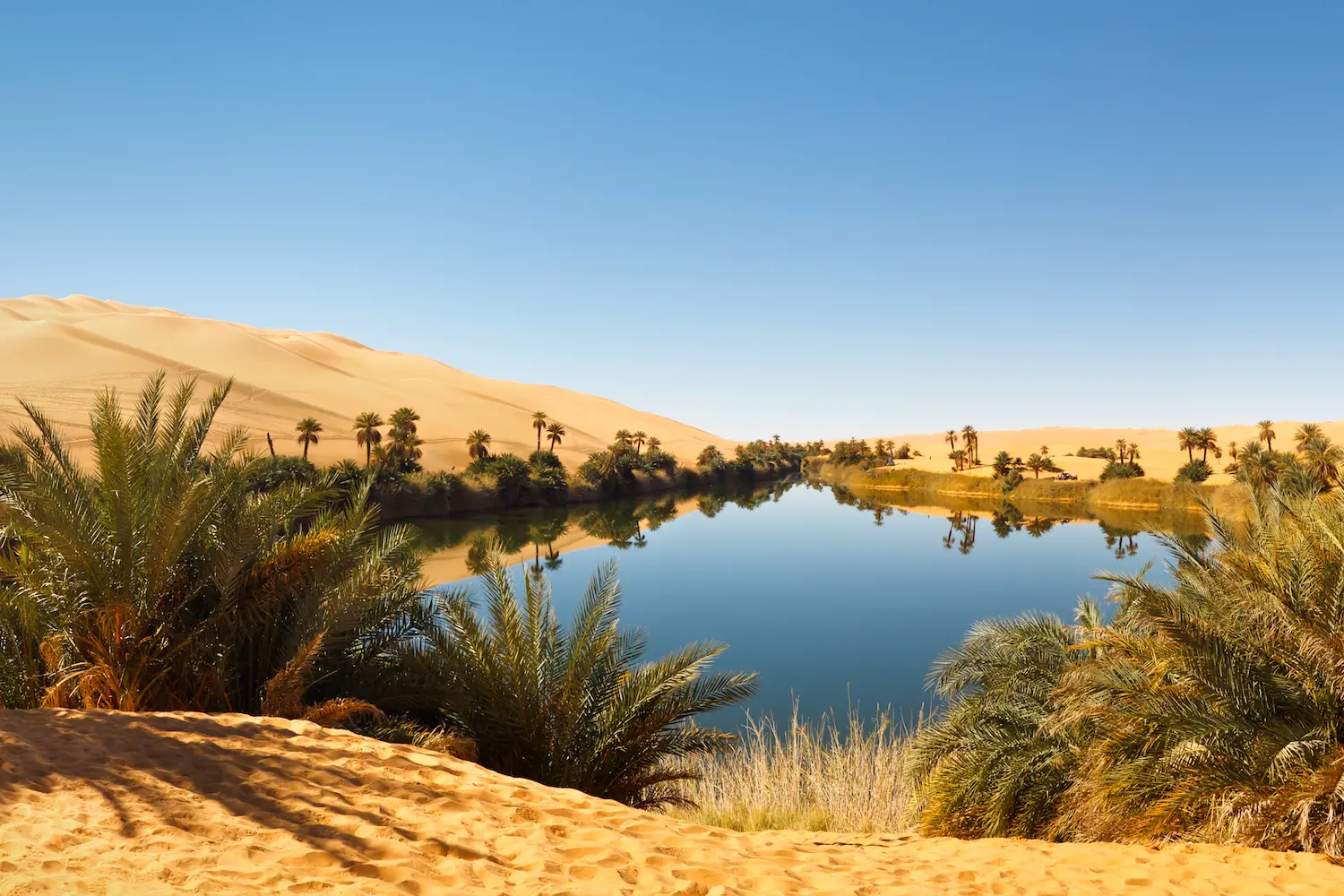 Un lac oasis dans le désert du Sahara.