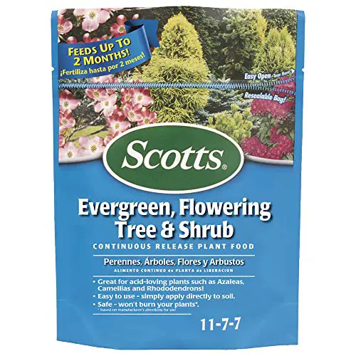 Engrais pour plantes à libération continue Scotts Evergreen pour arbres et arbustes à fleurs