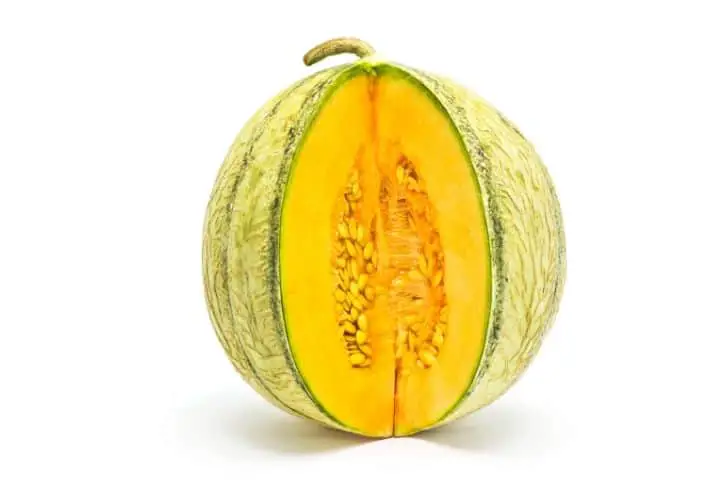 Melon charentais