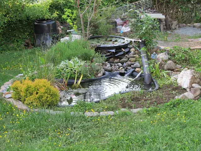 étang-jardin-jardin-vert-d'eau