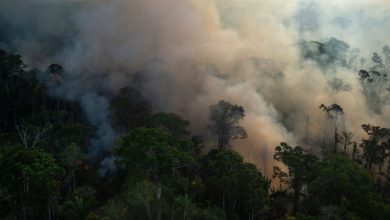 Amazon s'approche du "point de basculement" où la forêt tropicale pourrait se transformer en savane Par Nicoletta Lanese publié le 8 mars 22 L'Amazonie perd sa "résilience", selon une étude.