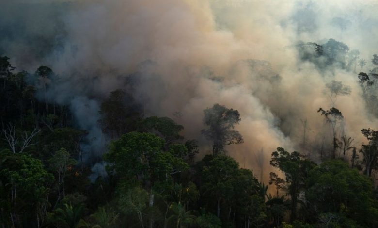 Amazon s'approche du "point de basculement" où la forêt tropicale pourrait se transformer en savane Par Nicoletta Lanese publié le 8 mars 22 L'Amazonie perd sa "résilience", selon une étude.