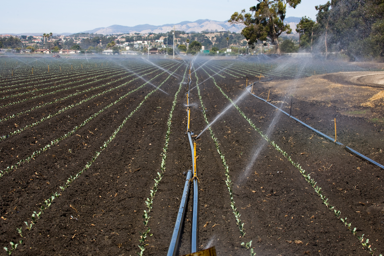 L'agriculture et une population humaine croissante exercent des pressions importantes sur les aquifères en déclin.