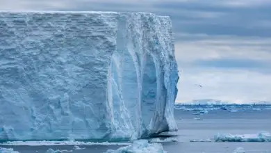 Comment un océan caché circule sous la glace de l'Antarctique Par Craig Stevens, Christina Hulbe publié le 2 juillet 20 Une glace épaisse isole une cavité océanique cachée des vents furieux et des températures glaciales de l'Antarctique.  Mais rien n'arrête les marées.