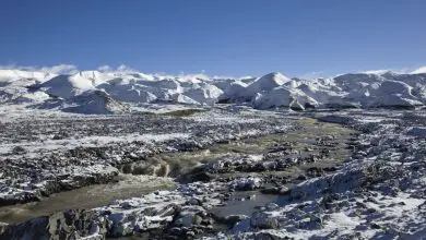 D'anciens virus jamais vus auparavant découverts enfermés dans un glacier tibétain Par Laura Geggel publié le 22 janvier 20 Une nouvelle technique d'étude des microbes anciens dans les glaciers a conduit à la découverte de virus jusque-là inconnus.