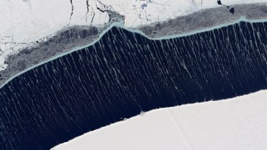 De rares formations de glace vaporeuses sillonnent la mer près de l'Antarctique sur de belles images satellite Par Harry Baker publié le 14 décembre 21 Des images satellite récentes capturées par Landsat 8 montrent une rare formation de glace de mer balayée par le vent au-dessus de l'eau en Antarctique.