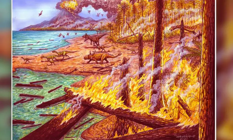Des incendies de forêt ont brûlé l'Antarctique il y a 75 millions d'années, révèlent des restes de charbon de bois Par Laura Geggel publié le 26 octobre 21 L'Antarctique était plus chaud à la fin du Crétacé, une époque où un incendie de forêt a embrasé la région.