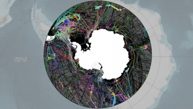 "Factorian Deep", le nouveau point le plus profond de l'océan Austral de l'Antarctique, cartographié pour la première fois par Brandon Specktor publié le 14 juin 22 Une nouvelle carte sonar tentaculaire de l'océan Austral de l'Antarctique comprend le nouveau point le plus profond de l'océan, le "Factorian Deep", pour le première fois.