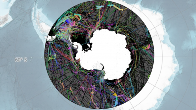 "Factorian Deep", le nouveau point le plus profond de l'océan Austral de l'Antarctique, cartographié pour la première fois par Brandon Specktor publié le 14 juin 22 Une nouvelle carte sonar tentaculaire de l'océan Austral de l'Antarctique comprend le nouveau point le plus profond de l'océan, le "Factorian Deep", pour le première fois.