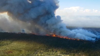 L'ONU confirme la température la plus chaude jamais enregistrée dans l'Arctique Par Ben Turner publié le 14 décembre 21 L'ONU affirme que les températures étaient "plus adaptées à la Méditerranée qu'à l'Arctique".