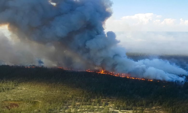 L'ONU confirme la température la plus chaude jamais enregistrée dans l'Arctique Par Ben Turner publié le 14 décembre 21 L'ONU affirme que les températures étaient "plus adaptées à la Méditerranée qu'à l'Arctique".