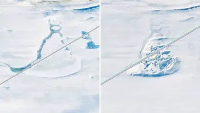 La NASA découvre un système caché de lacs mystérieusement drainés sous l'Antarctique Par Stephanie Pappas publié le 13 juillet 21 Les scientifiques de la NASA ont cartographié les lacs dynamiques et en constante évolution sous l'Antarctique de manière plus détaillée que jamais.