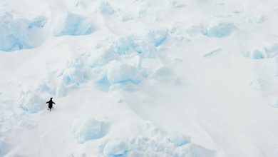 La NASA suit deux explorateurs à travers l'Antarctique pour préparer les humains à Mars Par Ben Turner publié le 13 décembre 21 La NASA suit deux explorateurs lors d'un voyage de 2 268 milles (3 650 kilomètres) à travers l'Antarctique pour en savoir plus sur la capacité de l'humanité à survivre sur Mars.