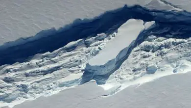 La fonte de la « colle » pourrait avoir envoyé le plus grand iceberg du monde à sa perte, selon une nouvelle étude Par Yasemin Saplakoglu publié le 30 septembre 21 étude.