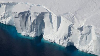 La fonte des calottes glaciaires ajoutera plus de 15 pouces à l'élévation du niveau mondial de la mer d'ici 2100 Par Chelsea Gohd publié le 21 septembre 20 Une nouvelle étude internationale montre l'impact significatif que la fonte des calottes glaciaires aura sur le niveau mondial de la mer.