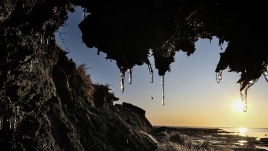 La fonte du pergélisol dans l'Arctique pourrait libérer des déchets radioactifs et réveiller des virus endormis Par Mindy Weisberger publié le 5 octobre 21