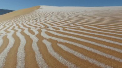 La glace recouvre le désert du Sahara pour seulement la 4e fois en 50 ans Par Brandon Specktor publié le 22 janvier 21 Les dunes du désert du nord-ouest du Sahara ont été striées de glace mardi, créant un paysage surréaliste