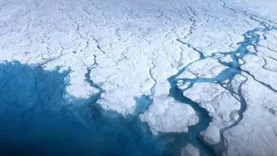 Le Groenland a perdu suffisamment de glace au cours des deux dernières décennies pour couvrir l'ensemble des États-Unis dans 1,5 pied d'eau Par Brandon Specktor publié le 3 février 22 Les données satellites montrent que la calotte glaciaire du Groenland a perdu suffisamment d'eau en 20 ans pour submerger l'ensemble des États-Unis.