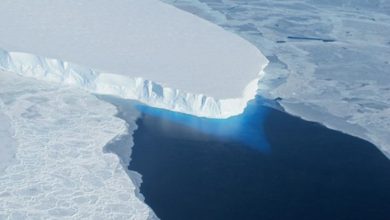 Le «glacier Doomsday» de l'Antarctique mène une bataille invisible contre l'intérieur de la Terre, selon une nouvelle étude de Brandon Specktor publiée le 20 août 21