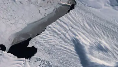 Le glacier antarctique en voie de disparition pourrait bientôt faire vêler un nouvel iceberg massif Par Mindy Weisberger publié le 22 octobre 19  S'ils continuent de croître, ils pourraient libérer un iceberg quatre fois plus grand que Manhattan.