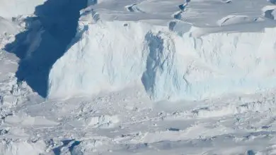 Le «glacier de la fin du monde» de l'Antarctique pourrait rencontrer son destin d'ici 3 ans Par Mindy Weisberger publié le 14 décembre 21 Le glacier Thwaites a à peu près la taille de la Floride et contient suffisamment de glace pour élever le niveau de la mer de plus de deux pieds.  De nouvelles recherches montrent que l'effondrement de sa banquise pourrait n'être que dans quelques années.