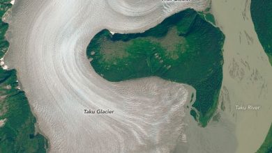 Le glacier de montagne le plus épais du monde fond enfin et le changement climatique est à 100% responsable Par Brandon Specktor publié le 7 novembre 19 Le glacier Taku à Juneau, en Alaska, est le glacier de montagne le plus épais du monde et était censé continuer à croître jusqu'à la fin du siècle.  Maintenant, il perd du terrain à cause du changement climatique.