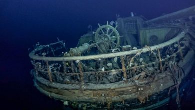 Le navire Endurance perdu de Shackleton découvert sous la mer Antarctique Par Tom Metcalfe publié le 9 mars 22 Le navire de glace Endurance perdu d'Ernest Shackleton, qui a coulé en 1915, a été redécouvert par des chercheurs sous la mer de Weddell en Antarctique.