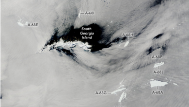 Le plus grand iceberg du monde se désintègre en une "soupe à l'alphabet", montre la photo de la NASA par Brandon Specktor publié le 17 février 21