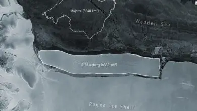 Le plus grand iceberg du monde se détache de l'Antarctique Par Ben Turner publié le 19 mai 21 Les scientifiques continueront de surveiller de près l'iceberg, ce qui pourrait constituer un risque pour les aires de reproduction des manchots sur les îles voisines.