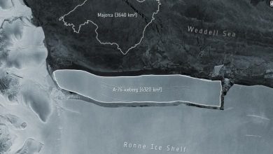 Le plus grand iceberg du monde se détache de l'Antarctique Par Ben Turner publié le 19 mai 21 Les scientifiques continueront de surveiller de près l'iceberg, ce qui pourrait constituer un risque pour les aires de reproduction des manchots sur les îles voisines.