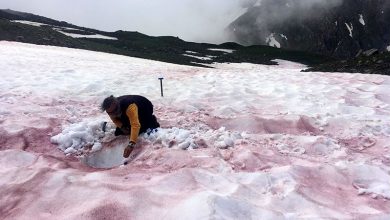 Le « sang des glaciers » pourrait être la clé pour comprendre les impacts du changement climatique Par Nicoletta Lanese publié le 7 juin 21 Une expédition dans les Alpes françaises révèle la biologie du « sang des glaciers » et son impact sur le changement climatique.